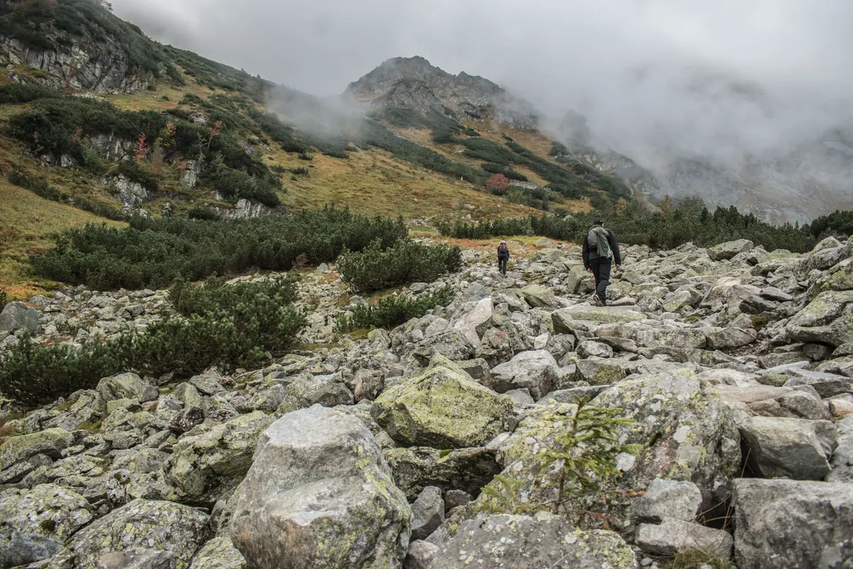 Fell Boots vs Trail Shoes: Choosing Footwear by Ground and Season